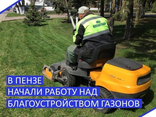 В Пензе приступили к благоустройству газонов