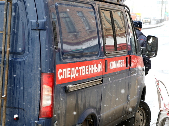 СК возбудил дело о гибели пациентов психоневрологического интерната в Санкт-Петербурге
