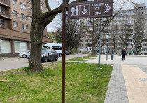В Калининграде установили указатели к общественным туалетам