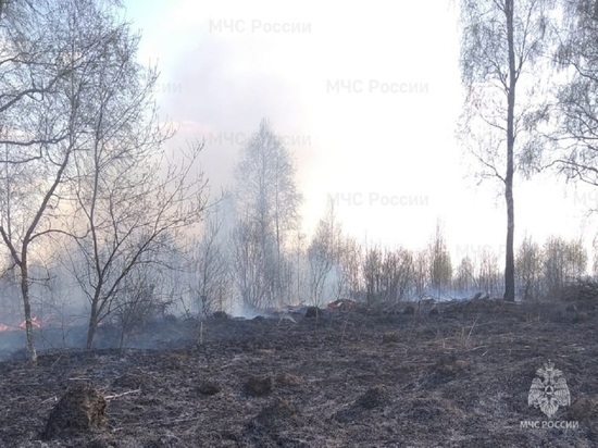 Третий лесной пожар зафиксирован в Калужской области