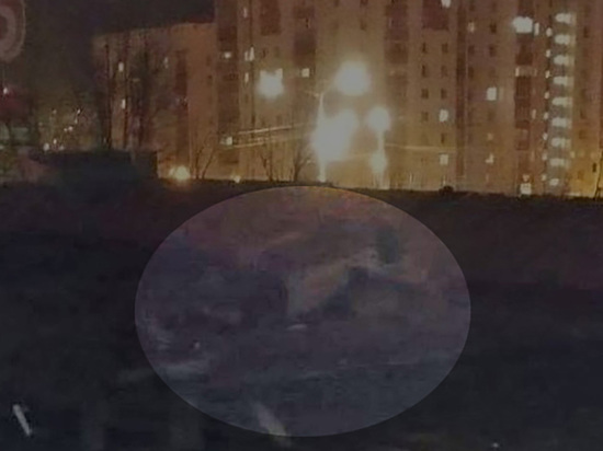 Взрыв в Белгороде образовал воронку и забросил автомобиль на крышу