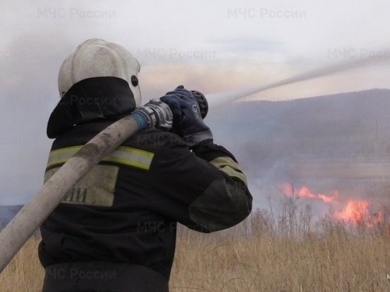 Две чабанские стоянки повреждены степным пожаром в Забайкальском районе