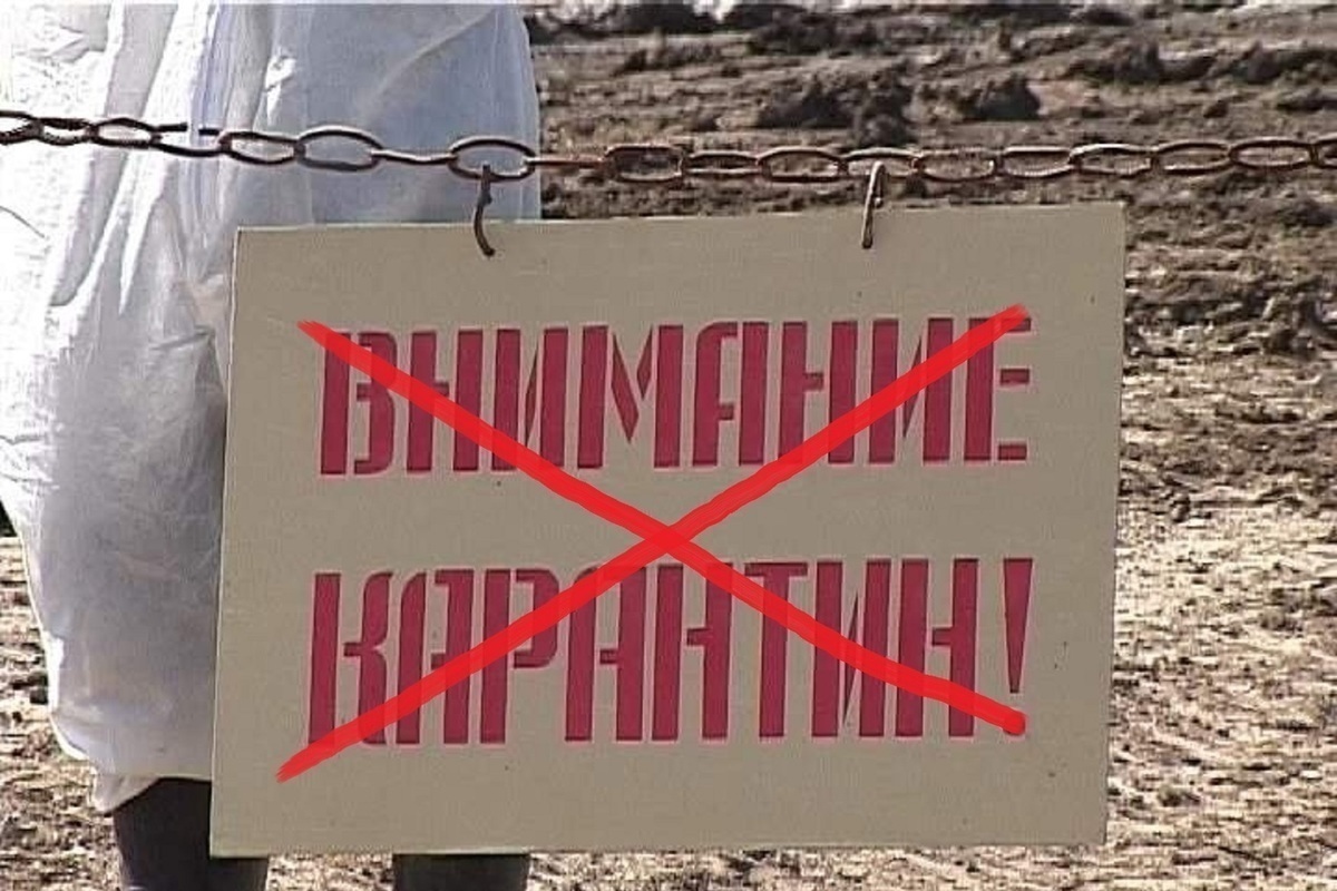 Карантинные ограничения по АЧС отменены в четырех районах Костромской области