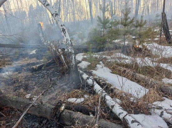 Лесной пожар ликвидировали в Братском районе
