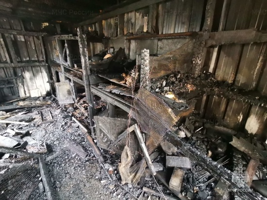 Кроликов и кур спасли пожарные из горящего сарая в Биробиджане