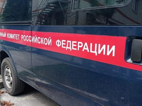 Белгородские следователи проводят проверку по факту исчезновения 14-летней девочки