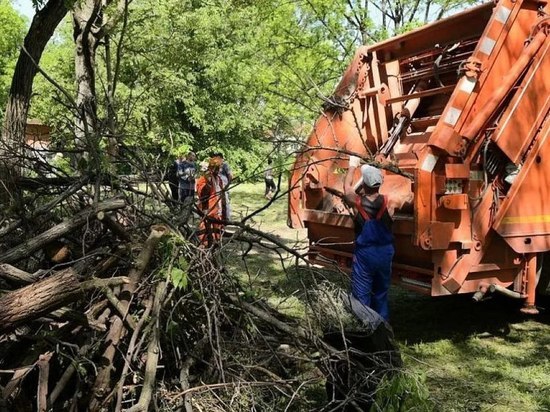 Глава Краснодара пригласил жителей присоединиться к общегородскому субботнику