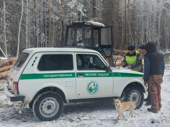 В Иркутской области будут усиленно патрулировать лес