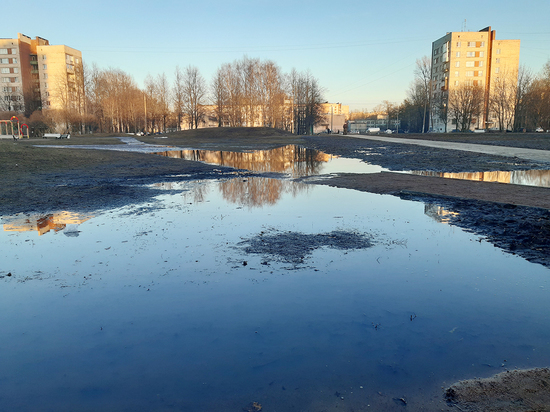 В «спальниках» — не до сна: что трем районам Петербурга дало назначение новых глав администраций