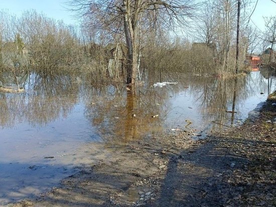 Вода в Новгородской области начала отступать