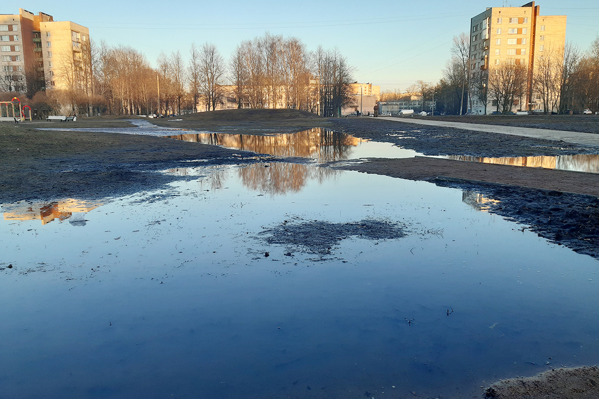 В «спальниках» — не до сна: что трем районам Петербурга дало назначение  новых глав администраций - МК Санкт-Петербург