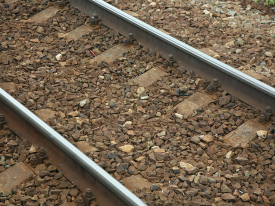 Задержаны три парня и 17-летняя студентка юридического колледжа