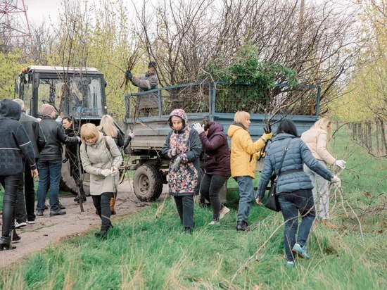Жители Мариуполя приняли участие в благоустройстве своего города