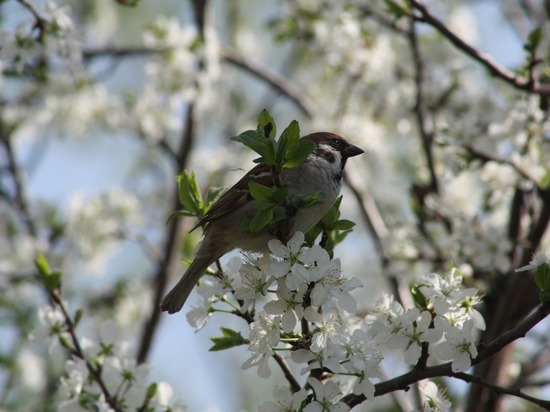 Народные приметы на 23 апреля — что нельзя делать в этот день