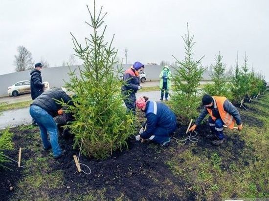 В Уфе высадят 5800 деревьев и кустарников
