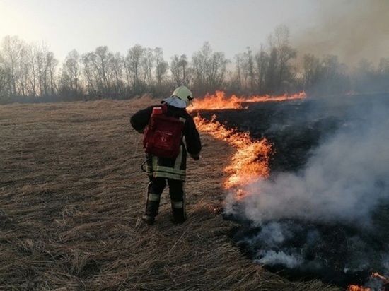 В алтайском ГУ МЧС развеяли миф о пользе пала сухой травы