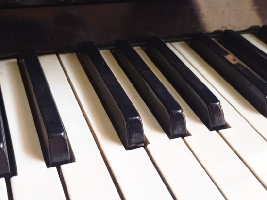 22 апреля отмечается день Земли, музыкального магазина и весенних брудершафтов