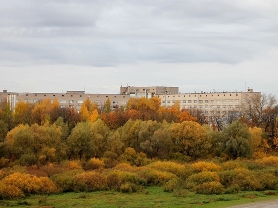 В Новгородской области появится филиал фонда "Защитники Отечества"