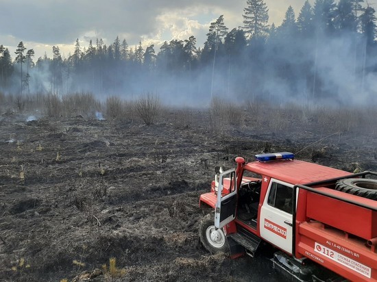 В Подмосковье ограничили пребывание в лесах с 22 по 30 апреля