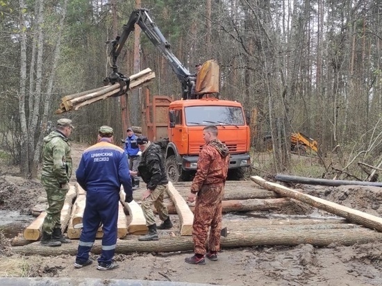 В Тамбовской области в одном из лесничеств строят мост через ручей Хабаровский