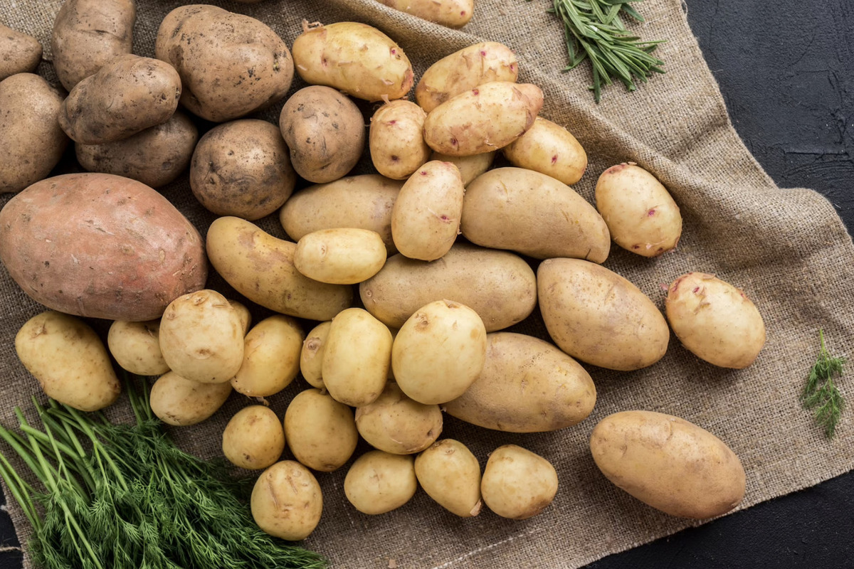 Россиянам надоело выращивать картошку: «Выходит дороже, чем в магазине» - МК