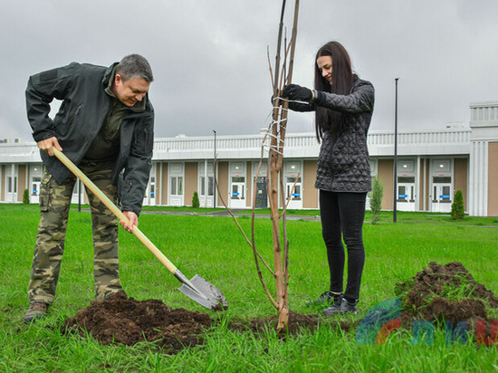 Леонид Пасечник принял участие в высадке саженцев возле луганского медцентра
