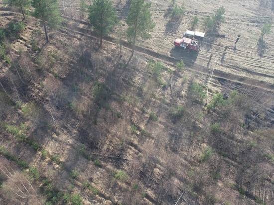 В Рославльском районе под Екимовичами ликвидирован лесной пожар