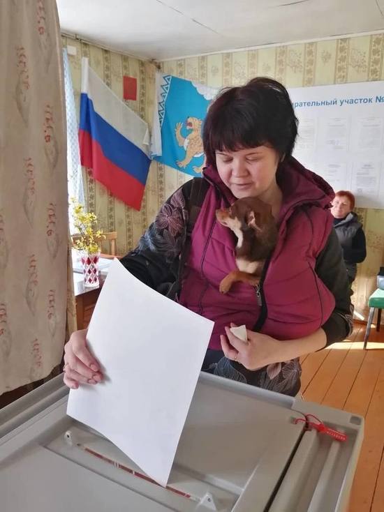 Второй день голосования на выборах главы Пустошкинского района стартовал в регионе