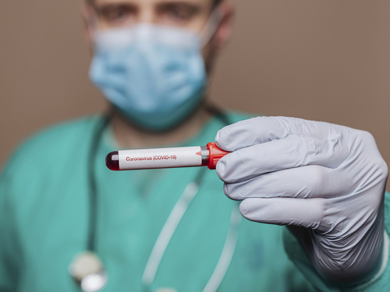 За сутки в Новгородской области заболели 22 человека коронавирусной инфекцией
