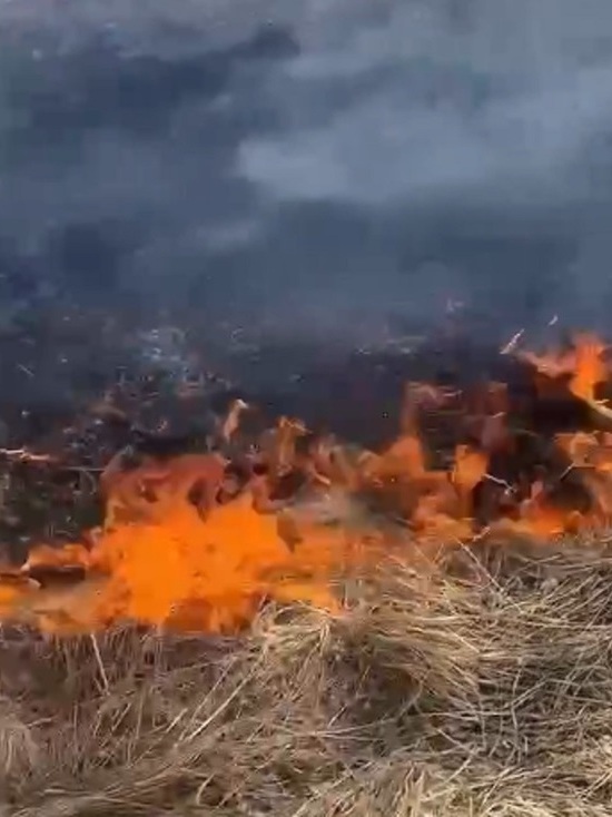 В Приангарье начались лесные пожары из-за пала травы