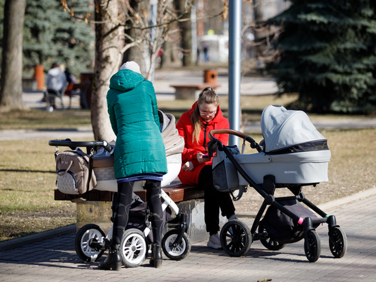 Свыше 4 тысяч псковских семей получили ежемесячную выплату за рождение третьего ребёнка