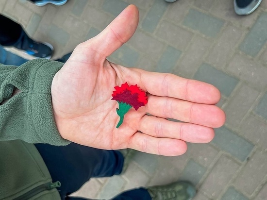 В Смоленске проходит добрая акция «Красная гвоздика»
