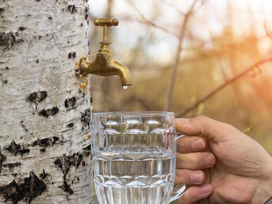 Синоптики 24 апреля обещают в Смоленске переменную облачность