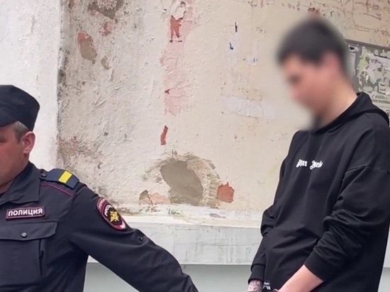 На Южном Урале полицейские арестовали участника мошеннической схемы
