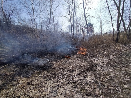 Пожароопасный сезон объявили 24 апреля в Томске и области