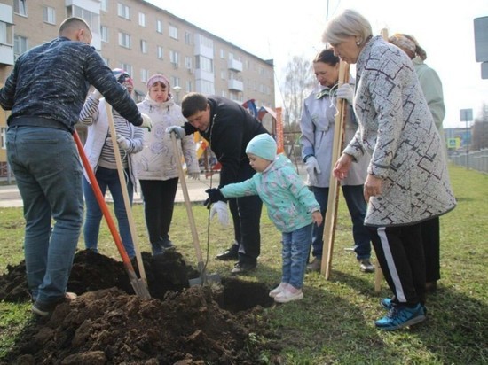 Деревья на аллее Героев высадили в Менделеевске