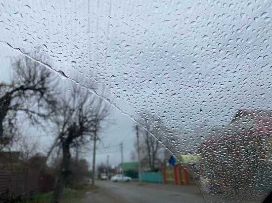 На Дону в последнюю неделю апреля ожидаются дожди
