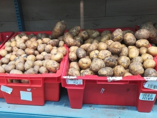В Новосибирске агроном Шубина назвала сроки посадки картофеля в 2023 году -МК Новосибирск