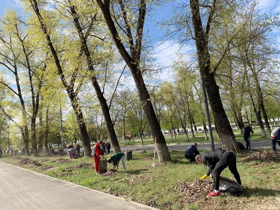 5888 человек убирали брянские улицы на субботнике
