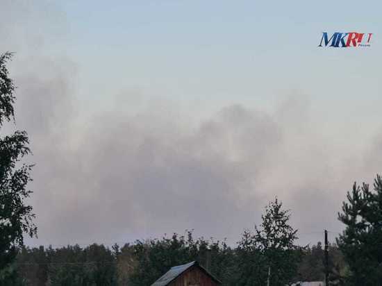 Число лесных пожаров в Рязанской области выросло до девяти
