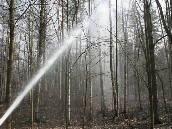 Первый пожар случился в новгородском лесу