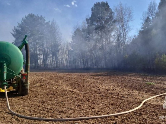 В Сарапульском районе загорелся лес рядом с селом Лагуново