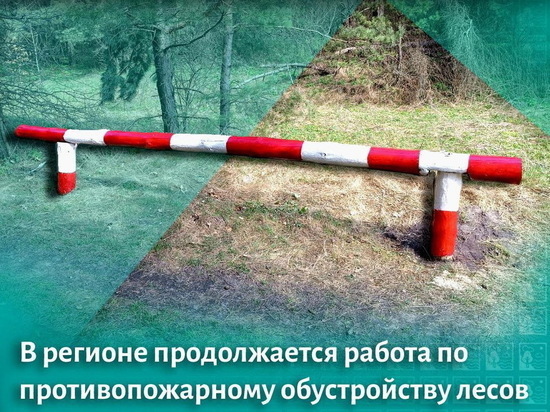 В курских лесах благоустроили 67 зон отдыха