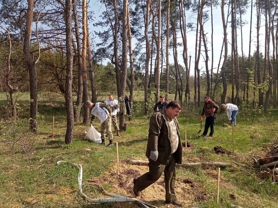 В Курском районе провели акцию «Сад памяти»