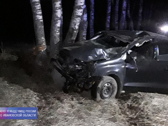 На трассе в Ивановской области водитель сбил лося и врезался в дерево