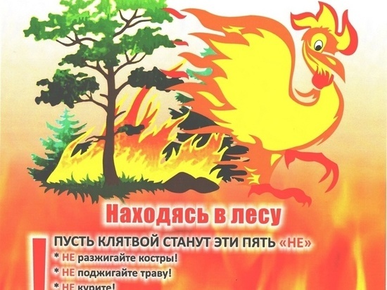 В заповеднике «Комсомольский» в Хабаровском крае открыт пожароопасный сезон