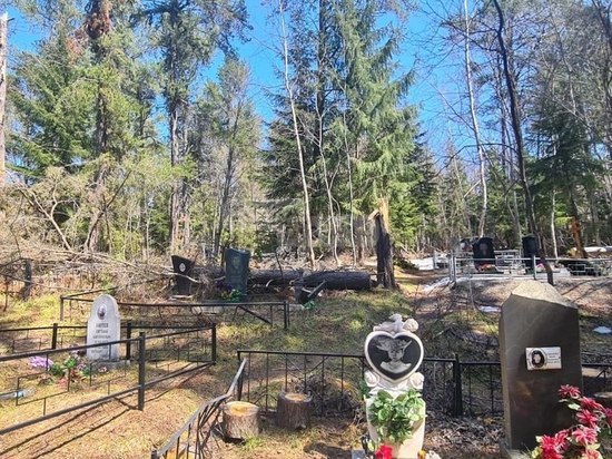 Неизвестные повредили могилы и оградки на кладбище в Южно-Сахалинске