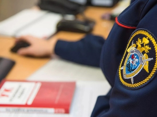 В Омске под 13-летним ребенком сломалась качеля