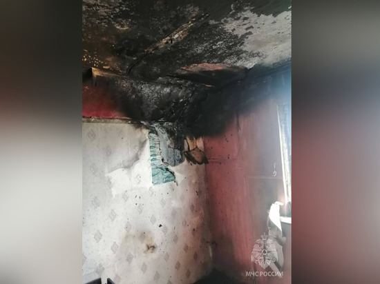 На пожаре в Кречевицах погибла пожилая женщина