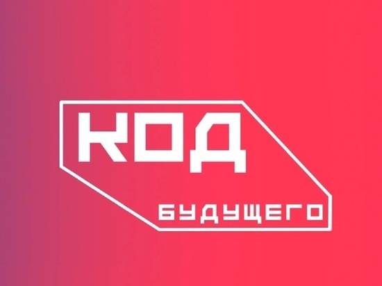 Владимирские школьники смогут бесплатно выучить язык программирования
